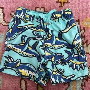 Boys Dinosaur Swim Shorts